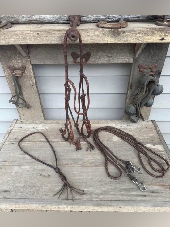 Other - Horse Tack - Hand braided leather headstall with matching split reins